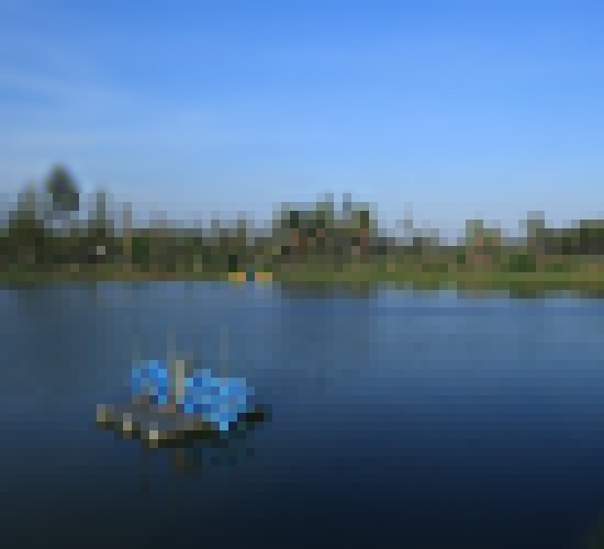 1HP 1Phase 2Paddle Aerators