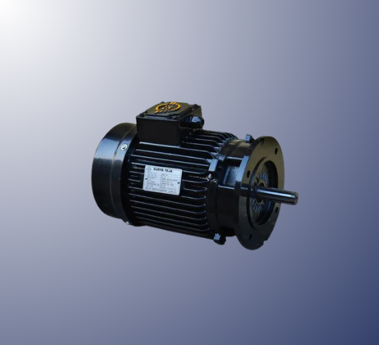 Aqua Aerator Motor in West Godavari